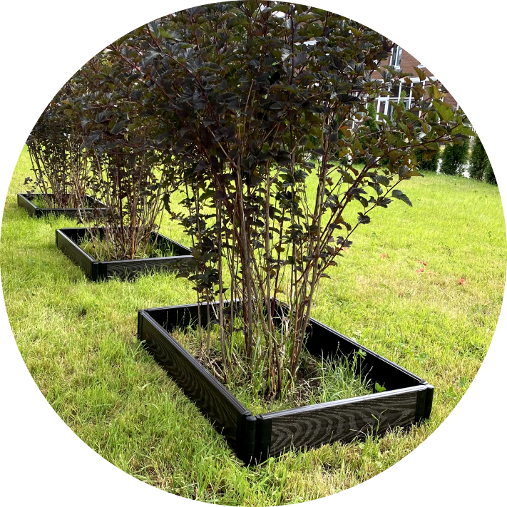 грядки дпк спб