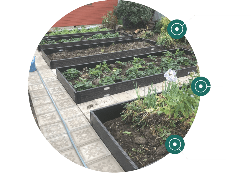 грядки дпк спб