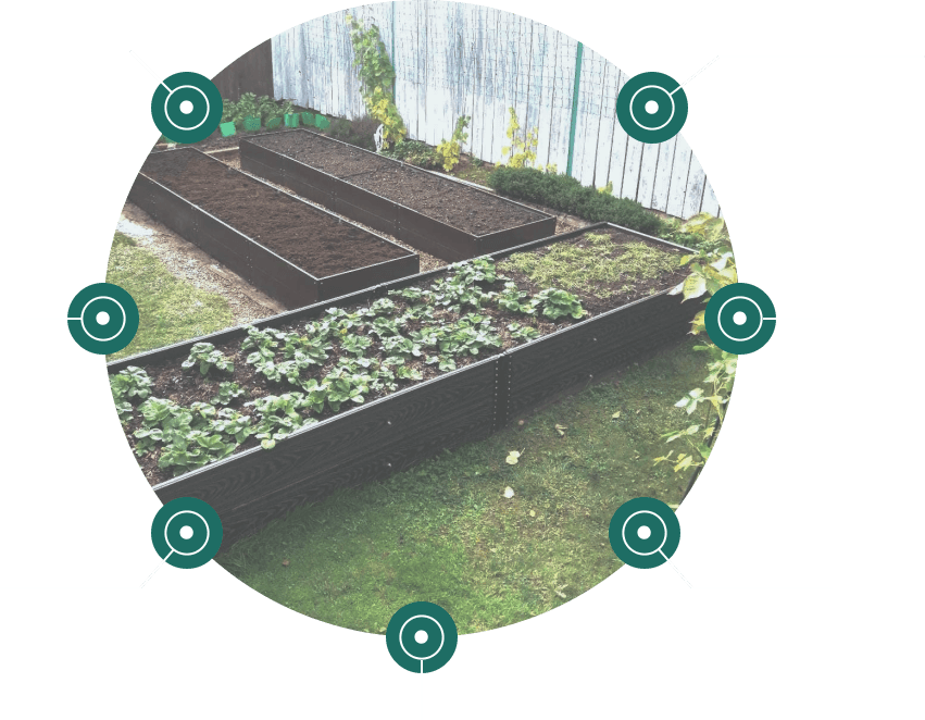 грядки дпк спб